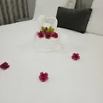 O Salgueiro
