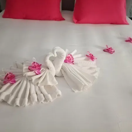 Appartement O Salgueiro *