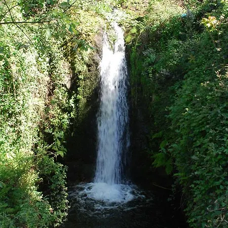 Appartement O Salgueiro *