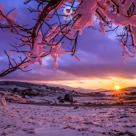 Appartement O Salgueiro *