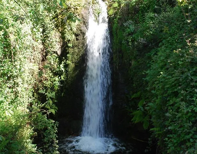 Apartment O Salgueiro *