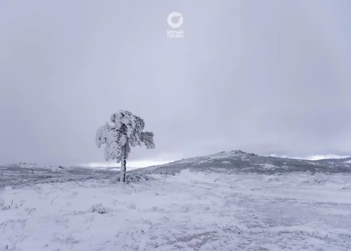 Appartamento O Salgueiro Melo