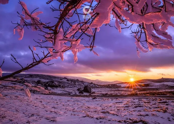 Appartamento O Salgueiro *